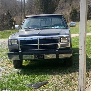 Meet your Posher, Dylan